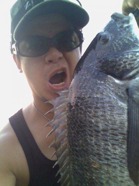 朝マヅメにチヌトップゲーム